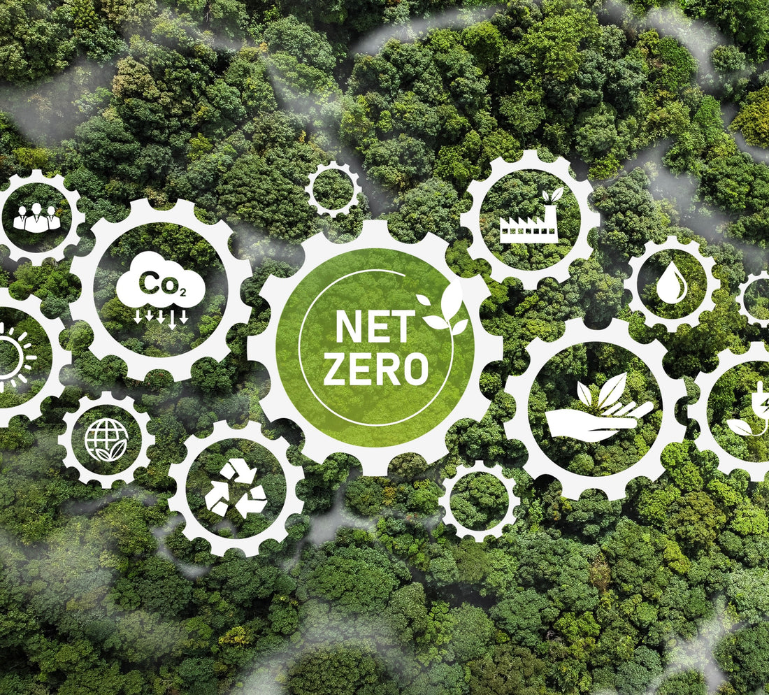 The Pursuit of Net Zero